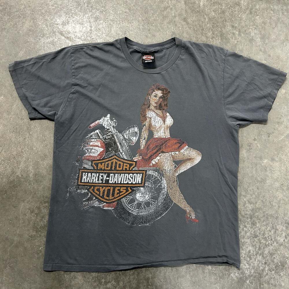 Harley-Davidson Freedom Denver Colorado Pin-Up Girl Graphic T-Shirt Grey Size L